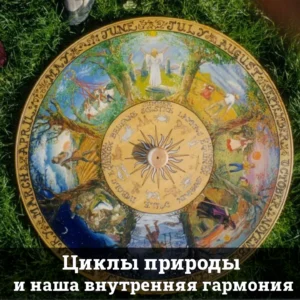 Циклы природы и наша внутренняя гармония