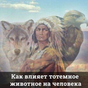 Как влияет тотемное животное на человека