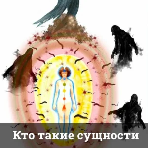 Кто такие сущности