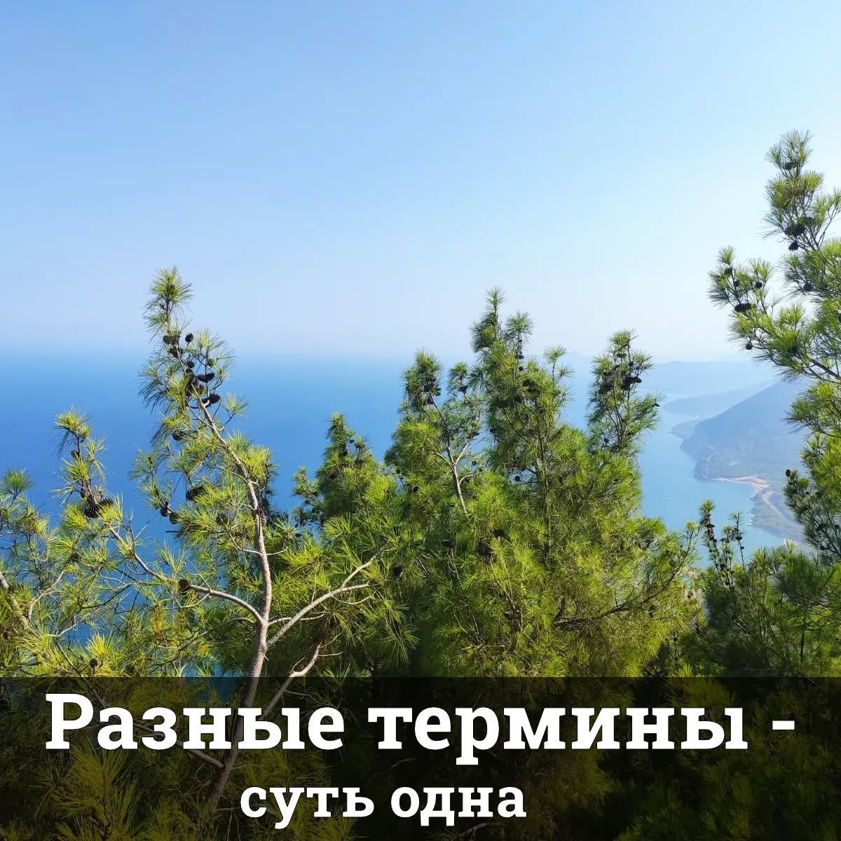 Разные термины - суть одна